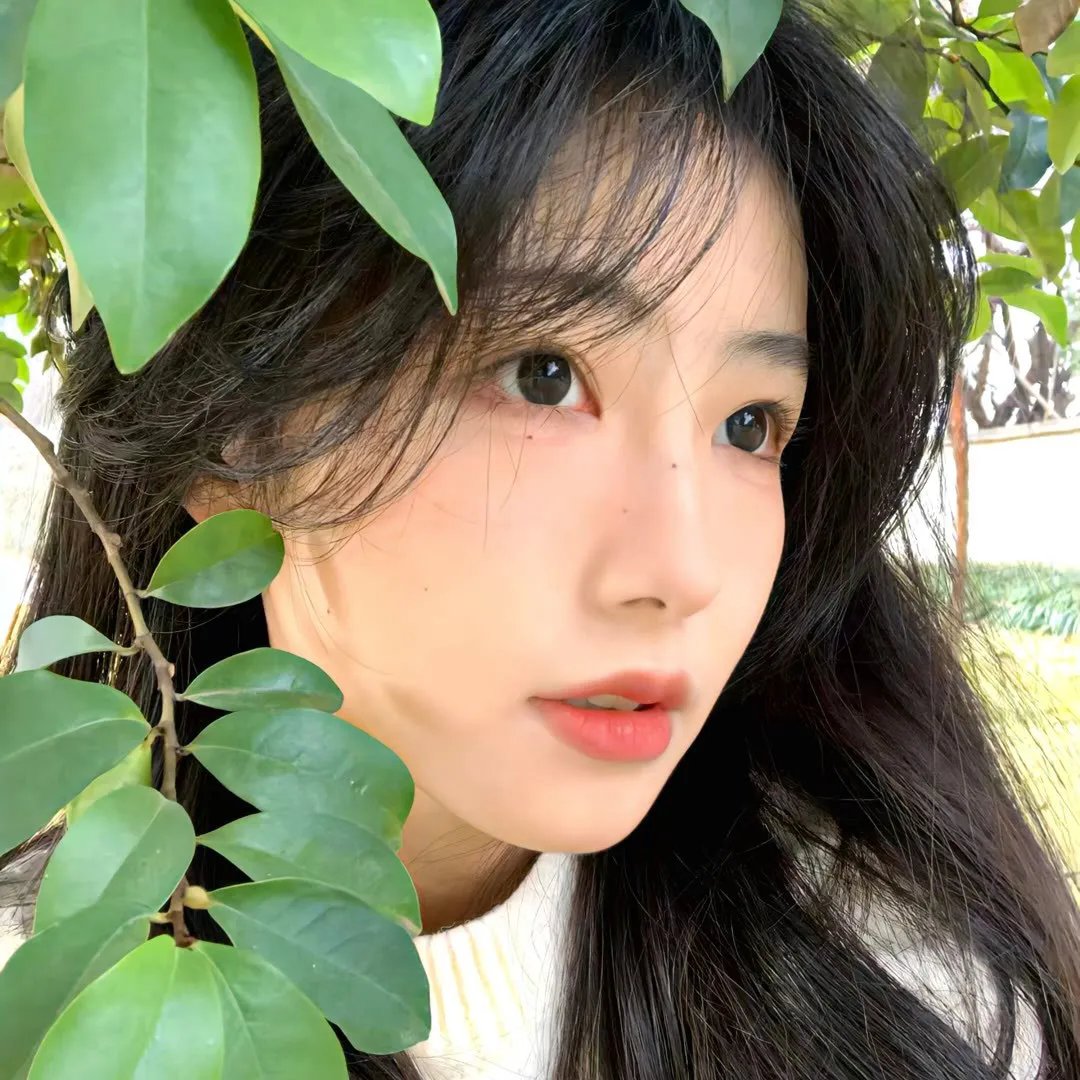 恶师损友